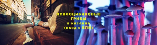 прущие крисы Армянск