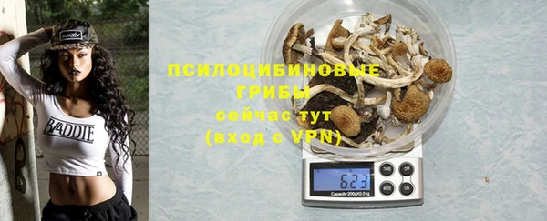 дживик Арсеньев