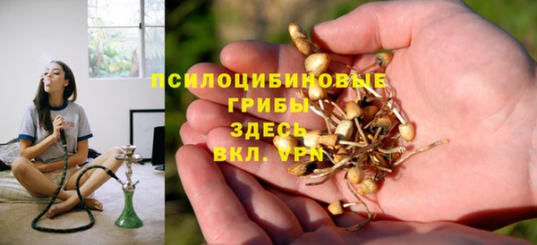 прущие крисы Армянск