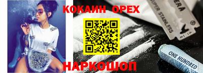 спиды Кингисепп
