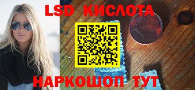 спиды Кингисепп