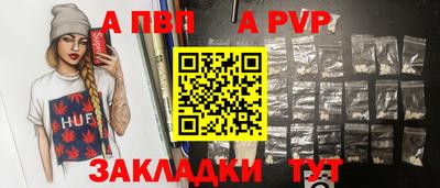 спиды Кингисепп