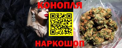 стаф Кимры