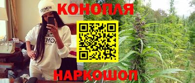 стаф Кимры