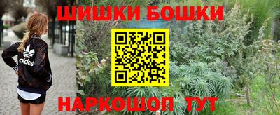 стаф Кимры