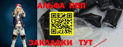 спиды Кингисепп