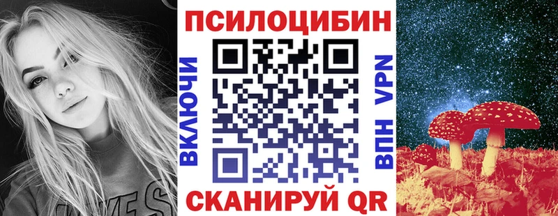кракен онион Балтийск Псилоцибиновые грибы Magic Shrooms закладка