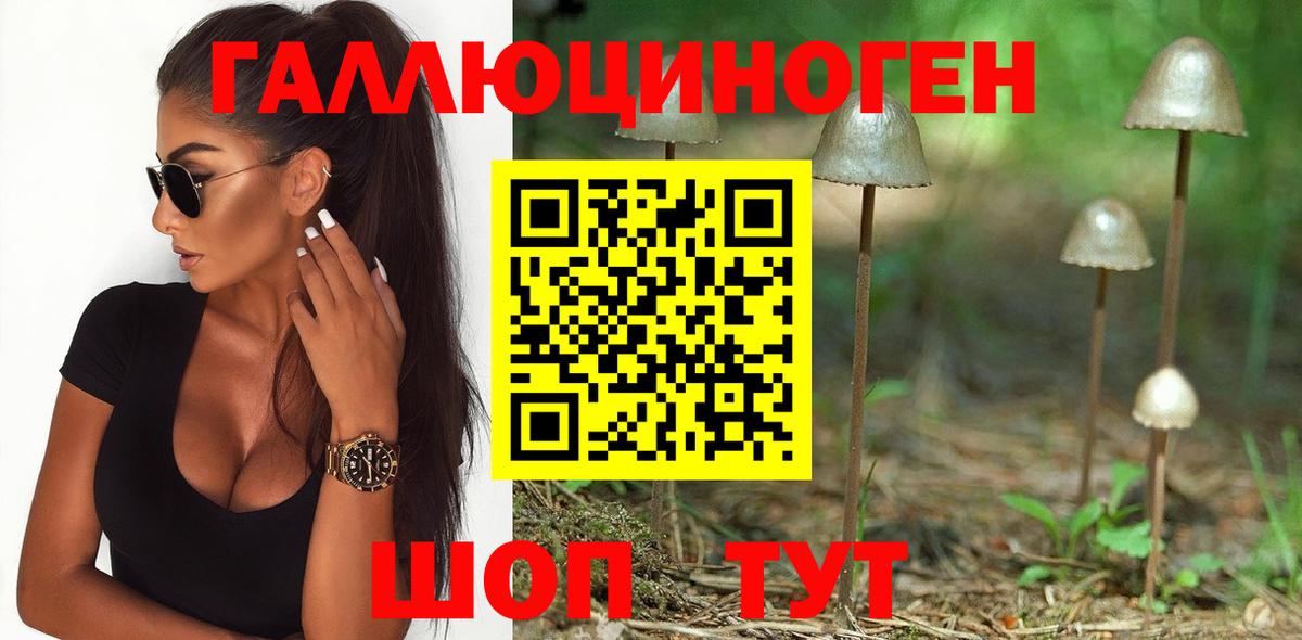 Псилоцибиновые грибы Psilocybine cubensis  Вход с VPN  Балтийск  Псилоцибиновые грибы Magic Shrooms 